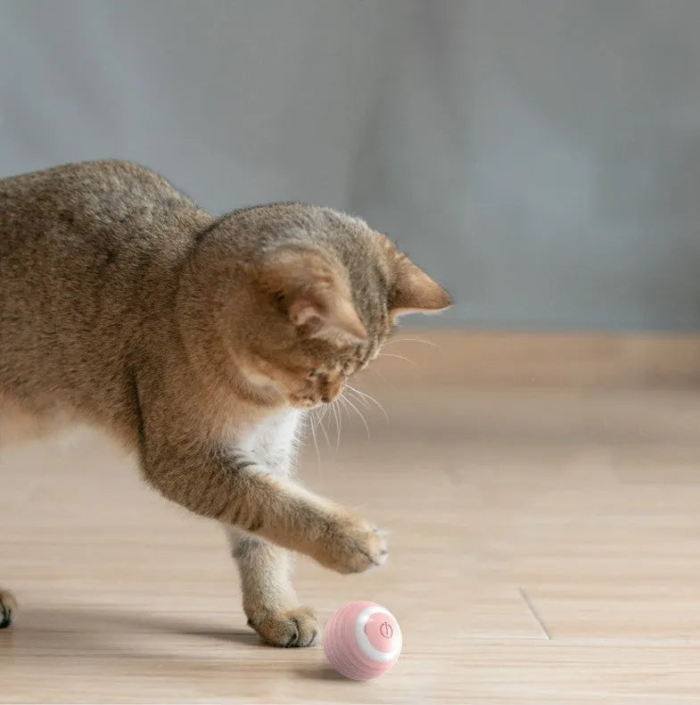 Rechargeable automatic bouncing smart cat toy ball in blue silicone