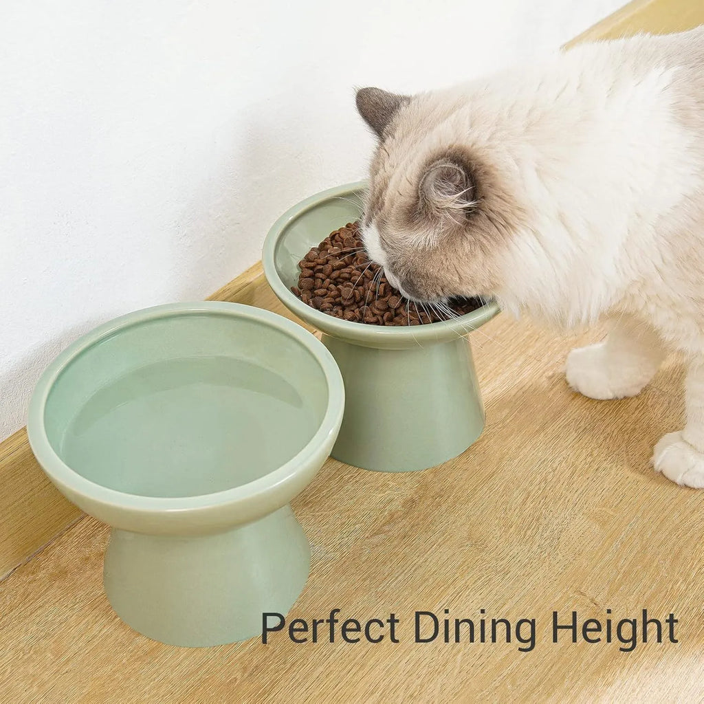 White ceramic elevated cat bowl with wide shallow dish on wooden floor