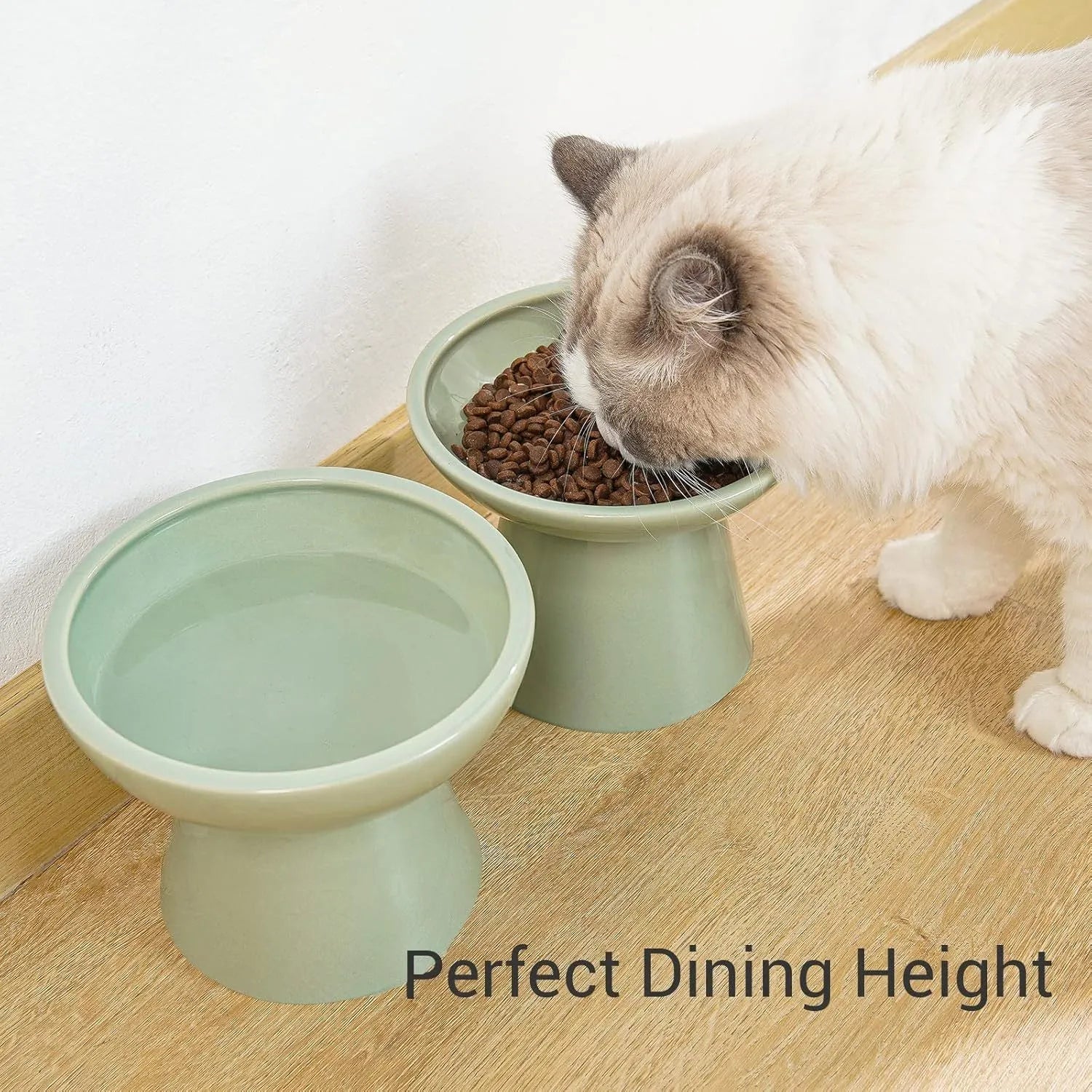 White ceramic elevated cat bowl with wide shallow dish on wooden floor