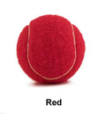 6.3cm rubber tennis ball dog toy in bright colours for bite-resistant play