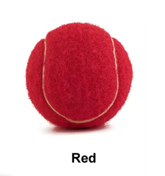 6.3cm rubber tennis ball dog toy in bright colours for bite-resistant play