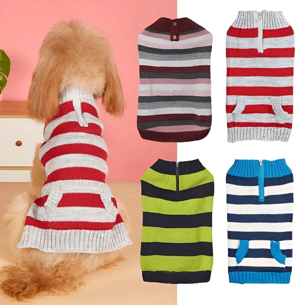 Small dog wearing a grey sweater with a horizontal blue zipper pocket on the side.