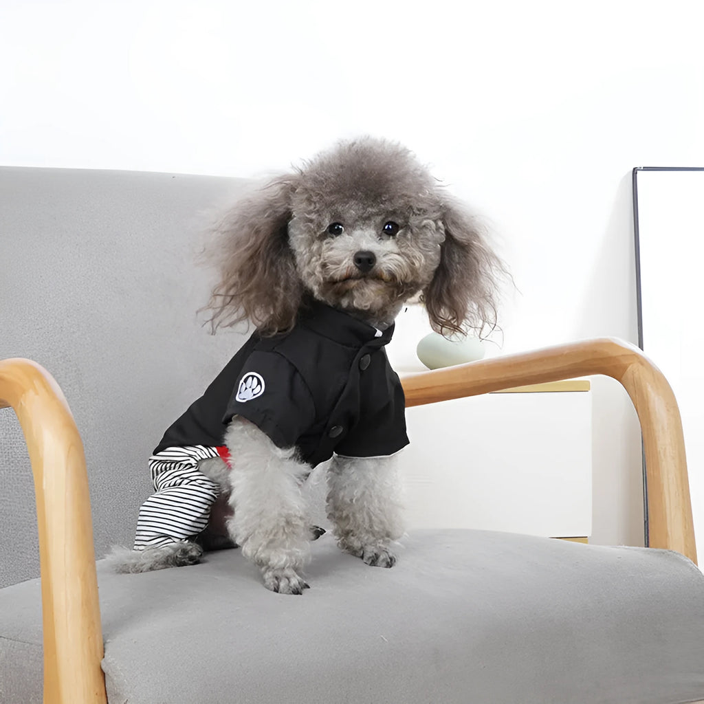 Cotton poodle dog clothes in skirt and four-legged trouser styles for spring, autumn, summer