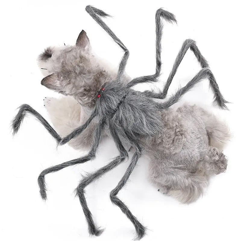 Big spider Halloween costume for pets in polyester fabric with multiple colour options