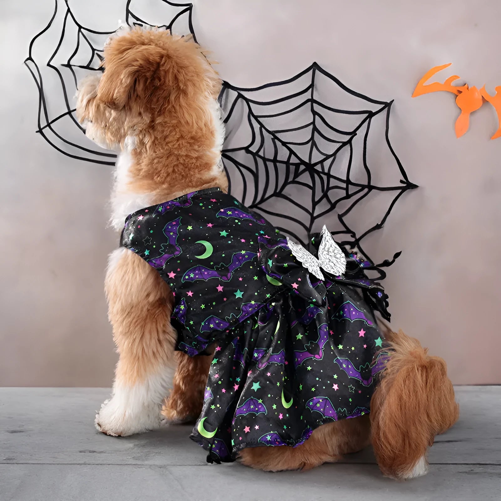 Angel wings Halloween dog costume in bright pumpkin or bat design on dog model
