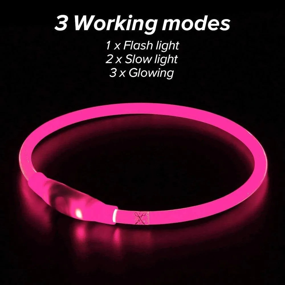 Blue USB rechargeable LED dog collar glowing with adjustable strap and USB charging port