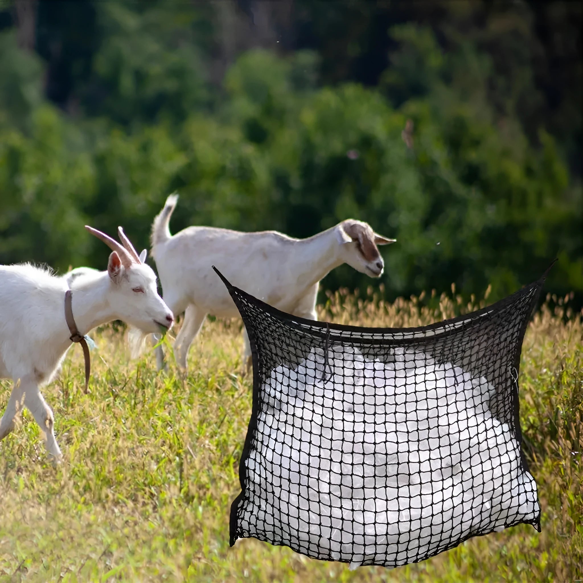 Black woven PE rope grid hanging feeding bag for horses, cattle and sheep.