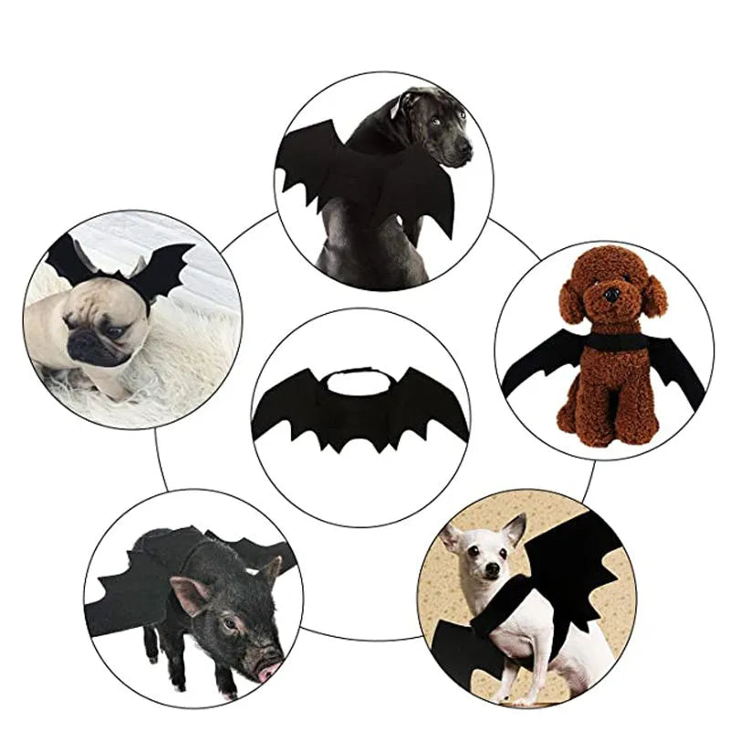 Black felt bat wings for a cat with adjustable Velcro straps, Halloween pet accessory