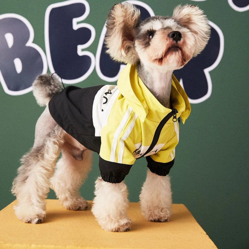 Red waterproof polyester dog raincoat jacket laid flat showing front view with hood