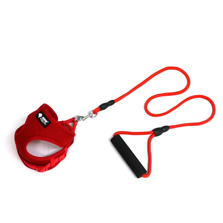 Blue adjustable dog leash with foam handle for small dogs showing collar adjustment and 120cm length