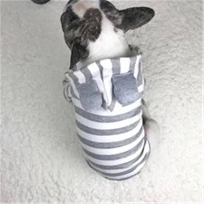 Grey cotton striped sweater on a small pet with ribbed trim