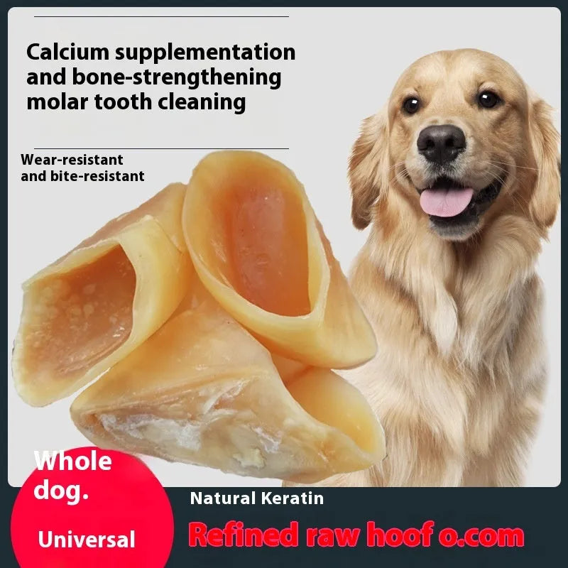 Natural cowhide dog chew bone in hoof shell colour for small and large breed dogs.