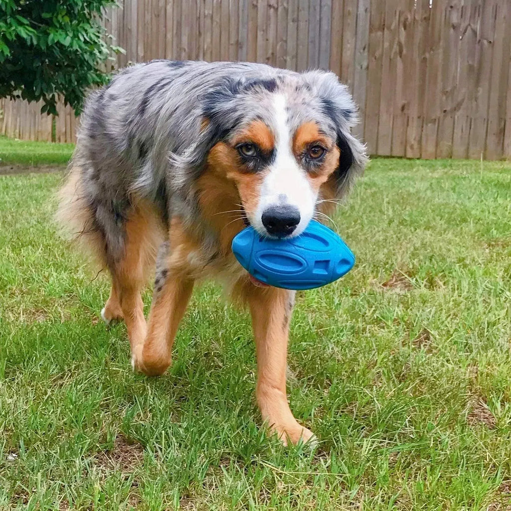 Natural rubber squeaky dog chew toy for aggressive chewers in blue, green and orange colour options