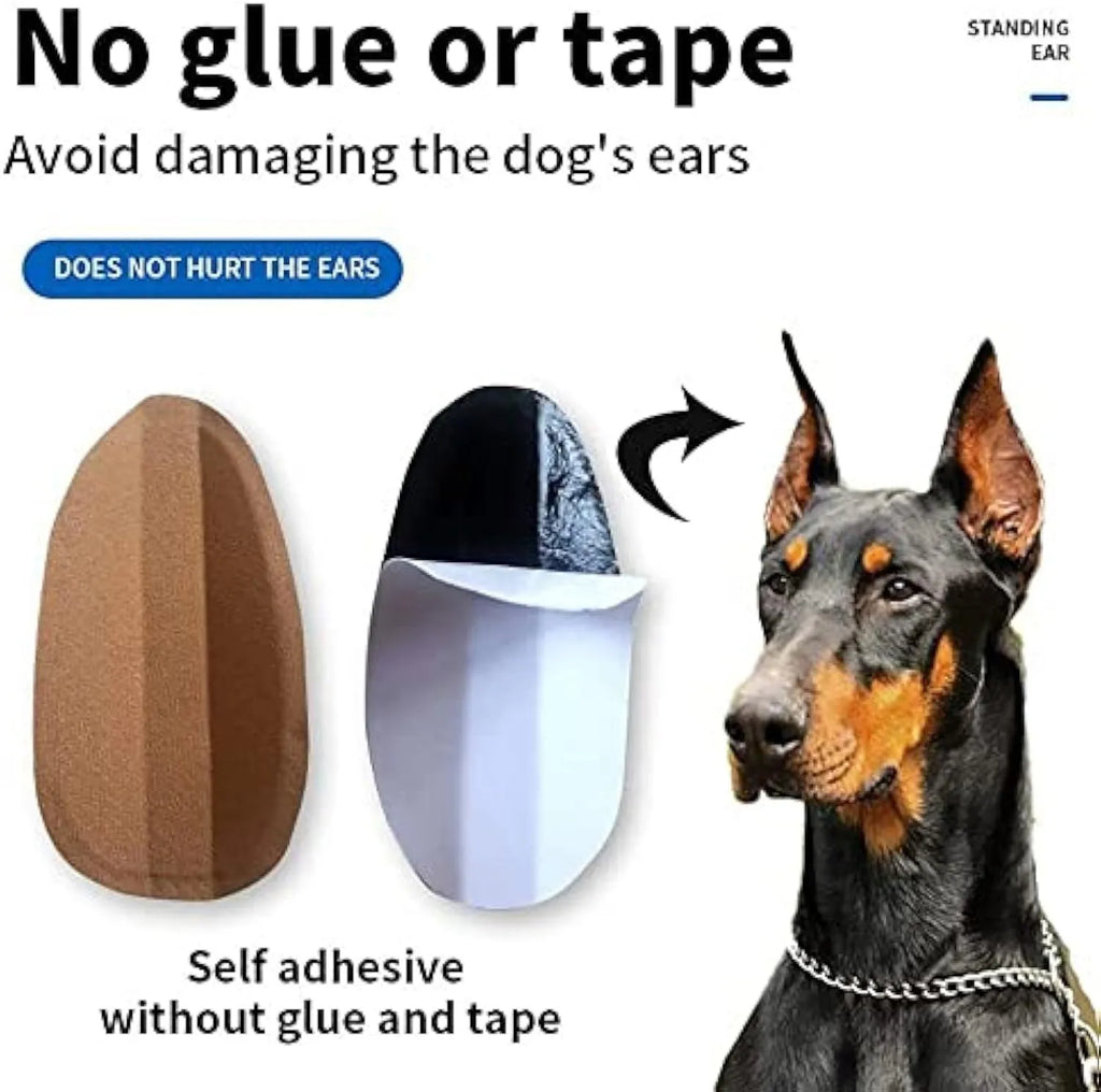 Set of dog ear support stickers in seven sizes from XS to XXXL for puppy ear correction, with calcium patch
