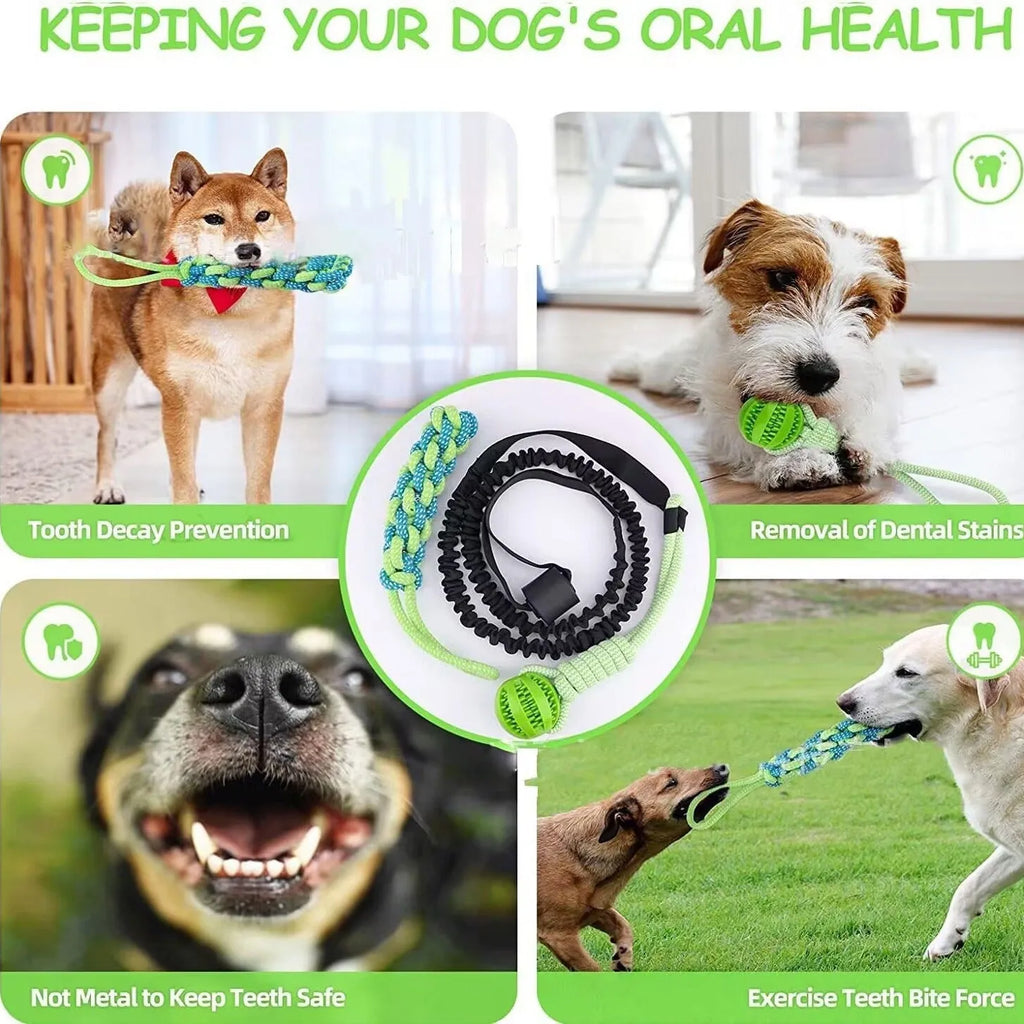 Cotton thread dog tug of war rope toy with four design variations for bite play