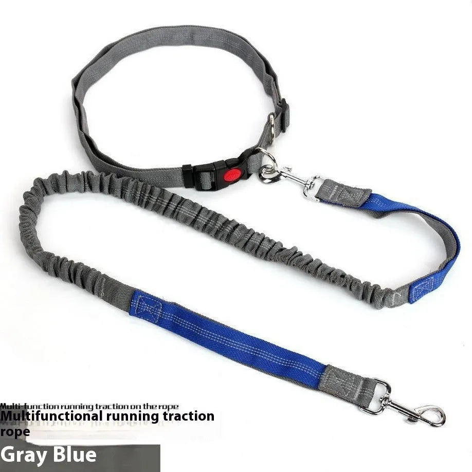 Outdoor running dog leash with elastic night reflective filament sling in multiple colour combinations