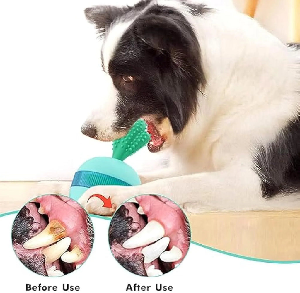 Blue and green durable rubber interactive treat dispensing tumbler ball dog toy