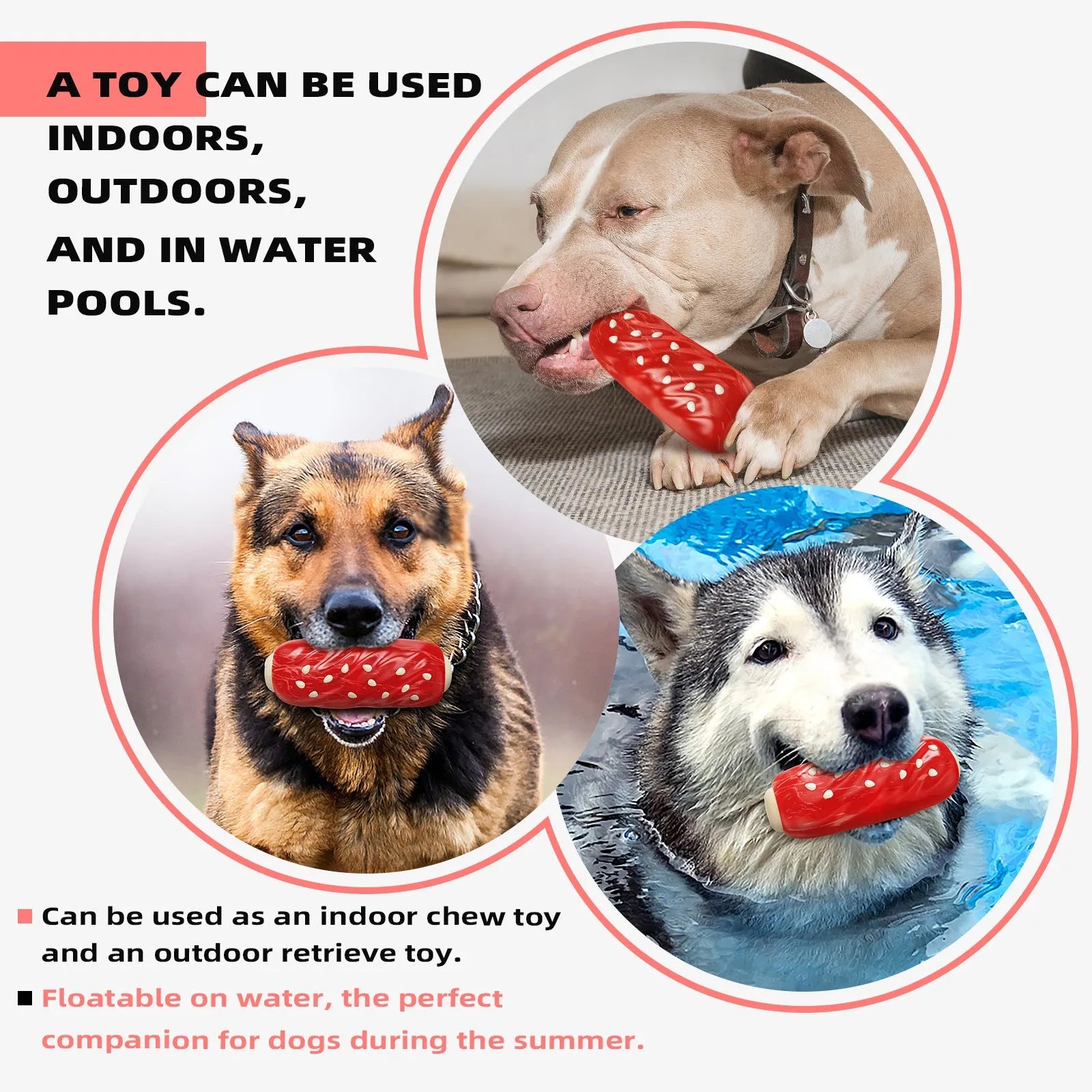 Primary colour plastic dog chew toy shaped like a rod with a glue toothbrush snack design.