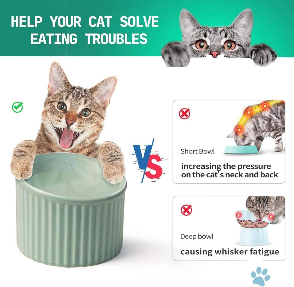 Ceramic elevated cat bowl in green or yellow with a tilted, round, whisker-friendly design.