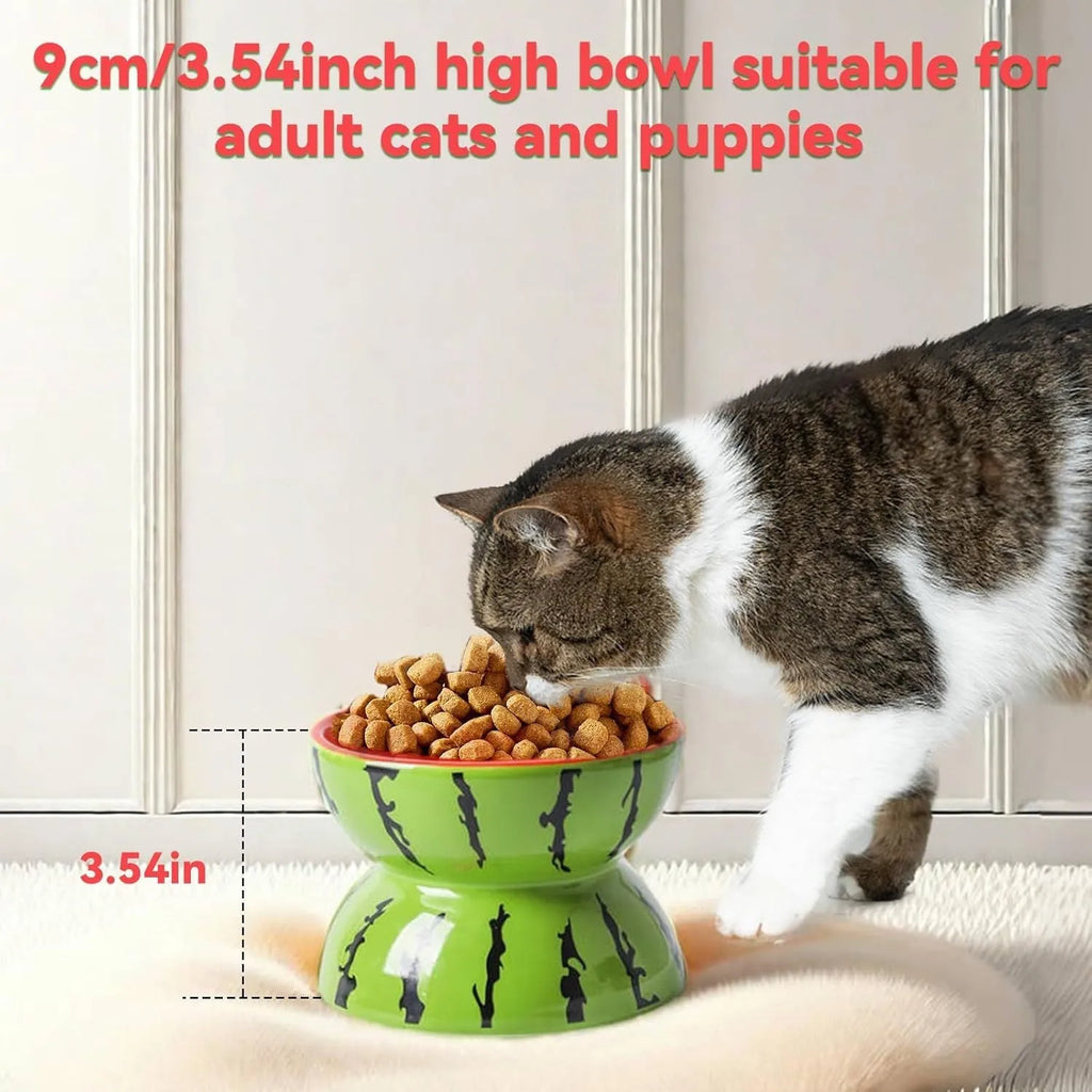 Ceramic raised cat bowl in orange with tilted design for food and water
