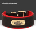 Widened dog collar with anti-lock lettering in Black for medium and large dogs, microfiber leather and diving cloth