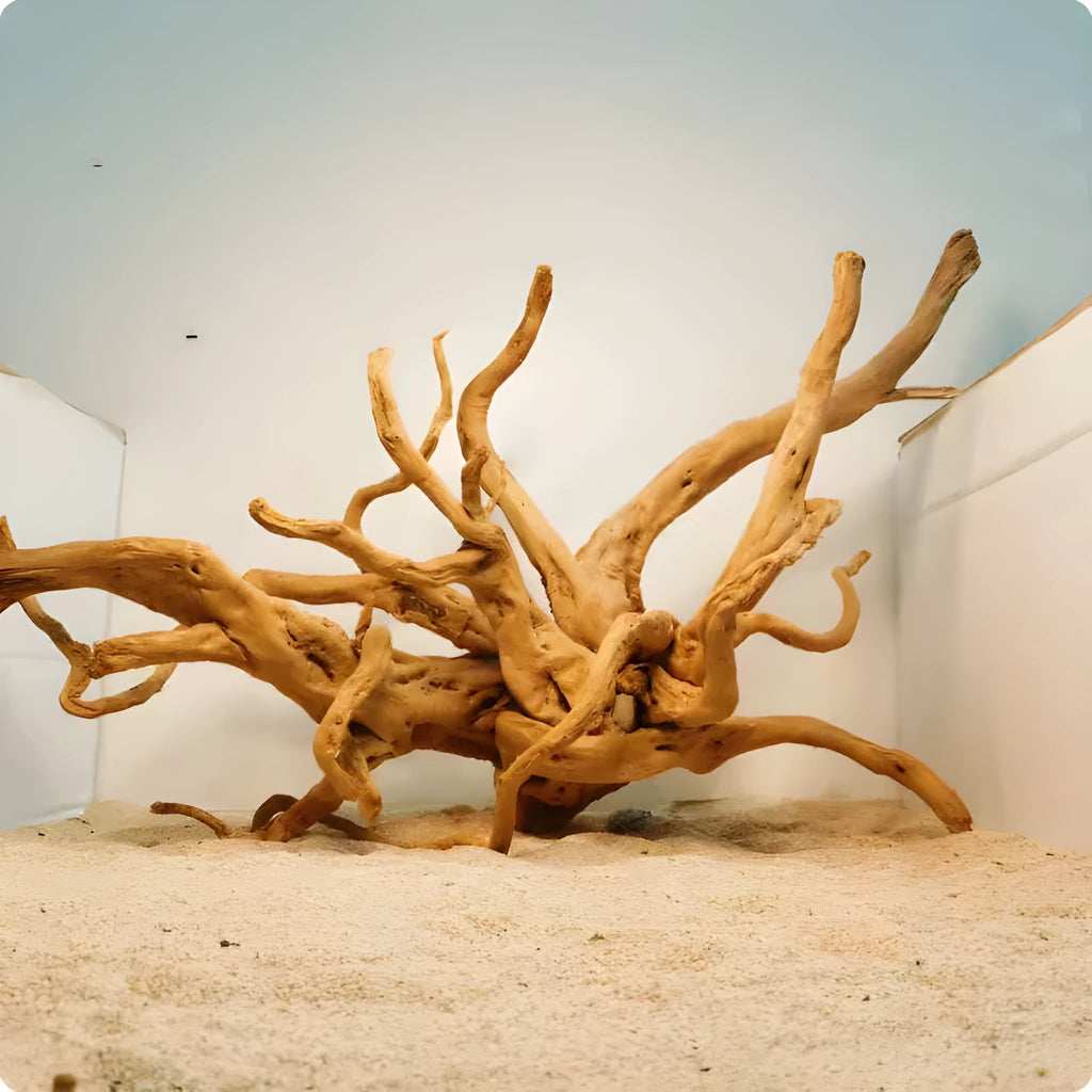 Xiaoqi root natural wood aquarium ornament with branched driftwood structure for fish tank decoration.
