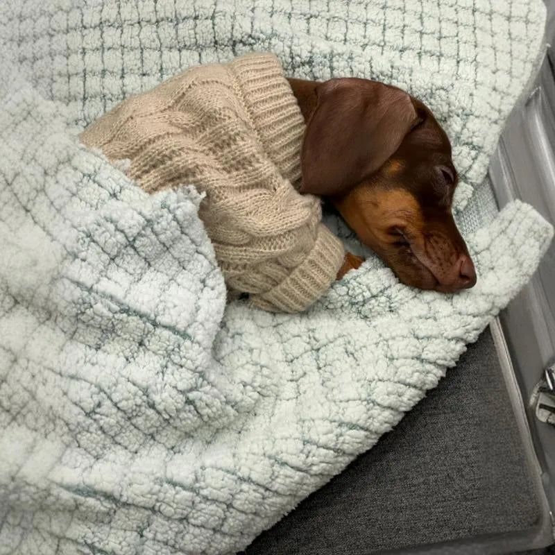 Greige knitted sausage dog sweater for small dogs, winter warm pet clothes, multiple sizes available