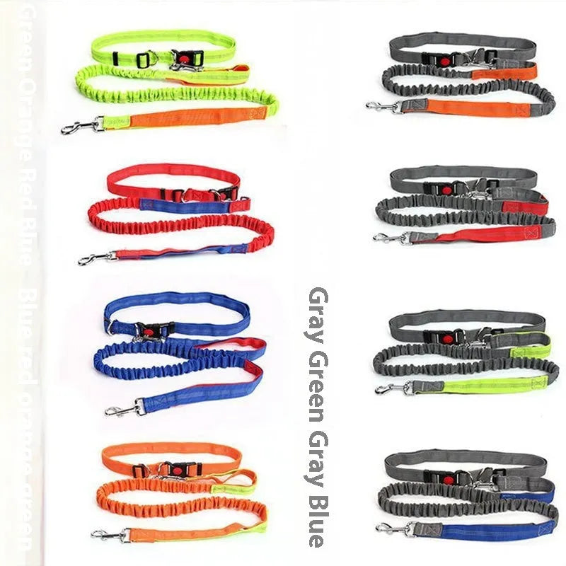 Outdoor running dog leash with elastic night reflective filament sling in multiple colour combinations