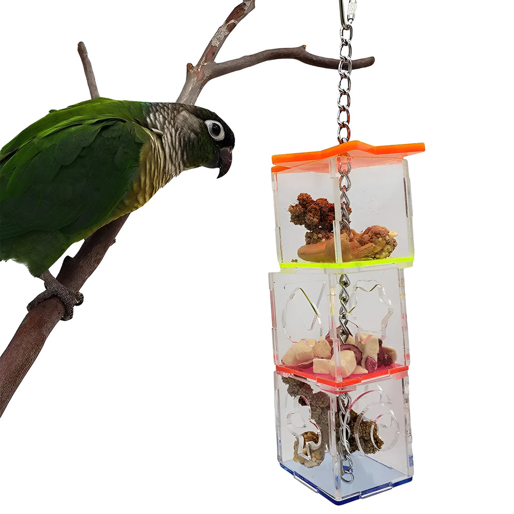Clear acrylic bird foraging toy measuring 5cm by 5cm by 32cm for parrot education and food containment