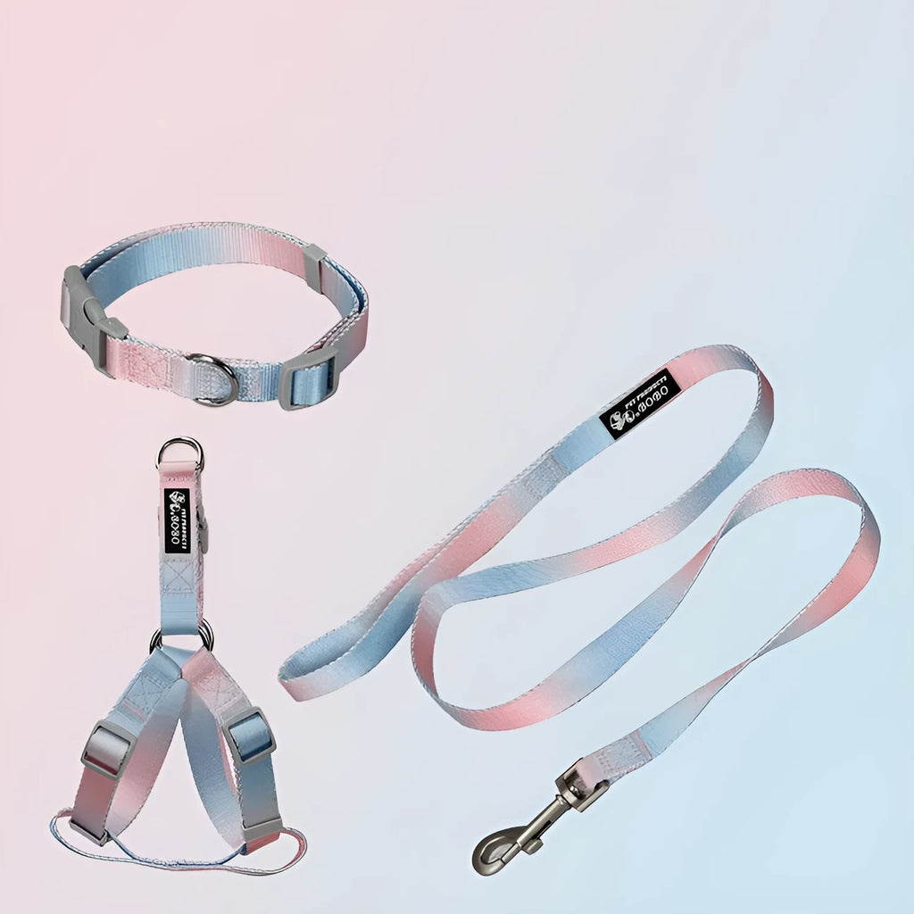 Gradient colour nylon dog leash set with collar and chest back harness options on a small dog.