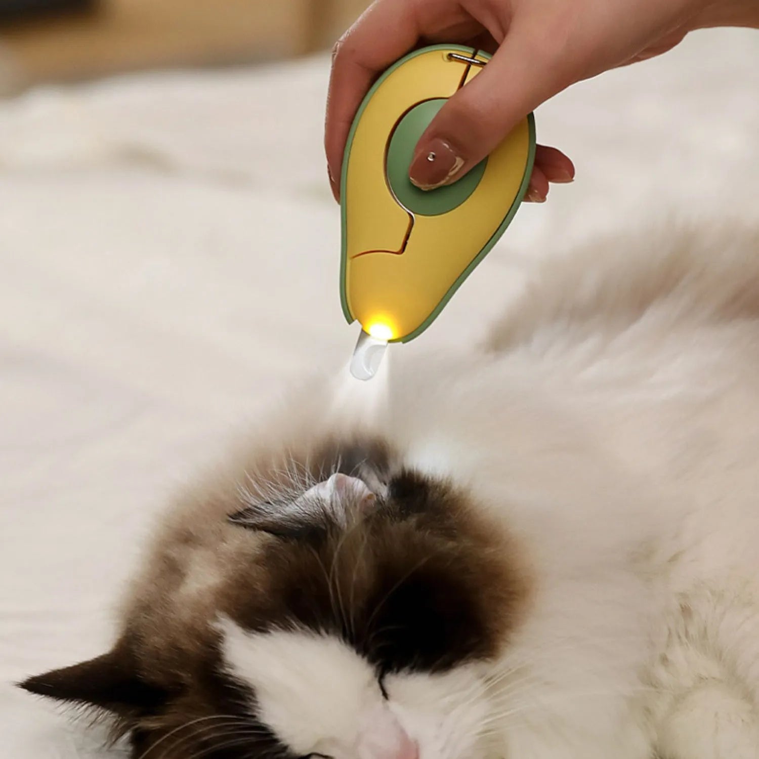 Professional pet nail clippers with LED light for small dogs and cats, in green, pink, or white.