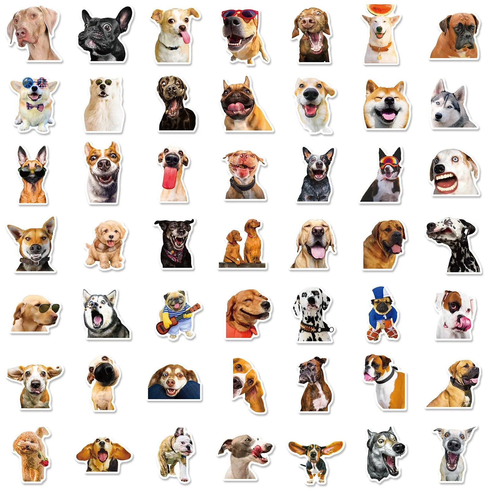 Realistic dog facial expression sticker pack with 100 sheets and Nordic style canine designs