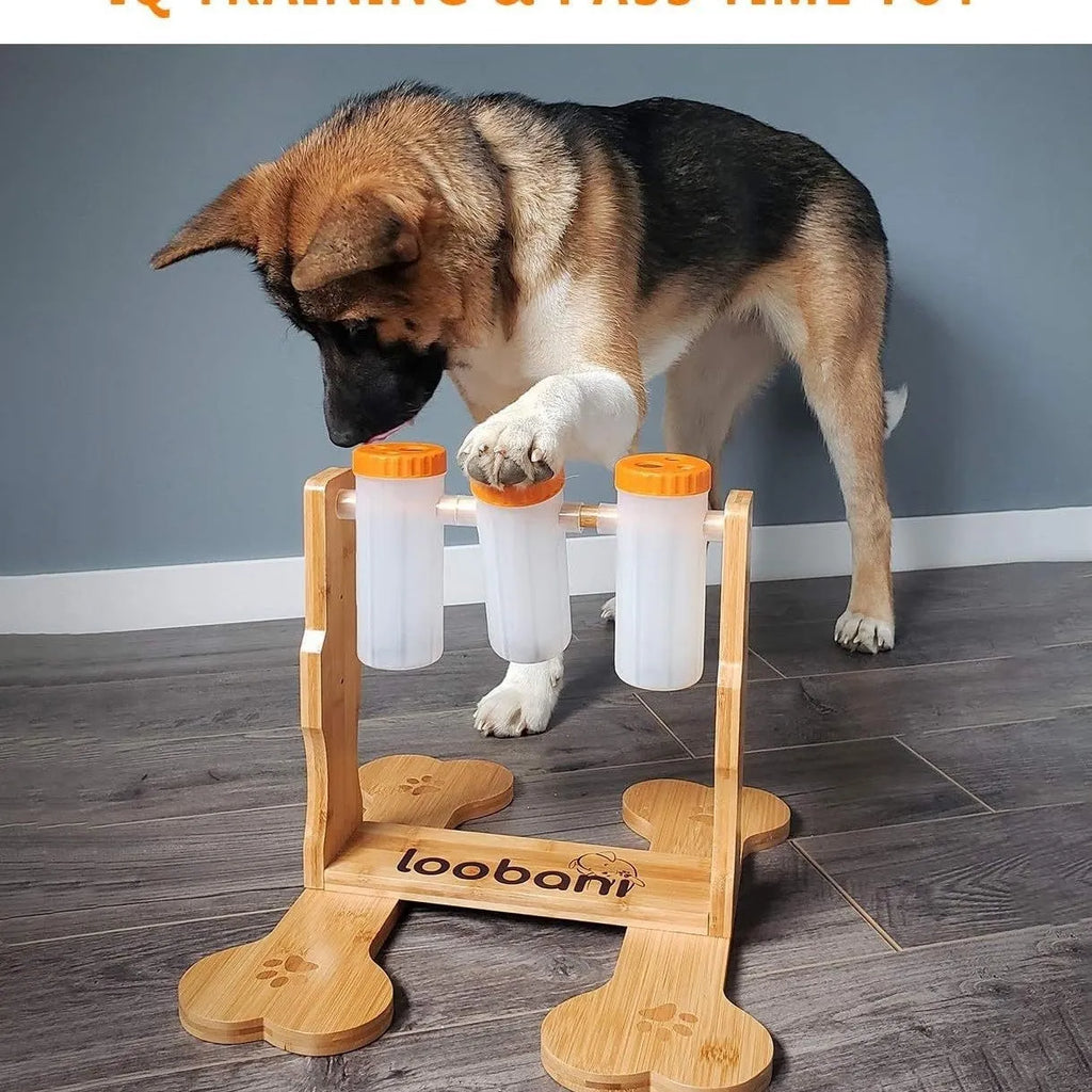 Wooden dog puzzle toy snack dispenser feeder in natural wood colour, showing size and design.