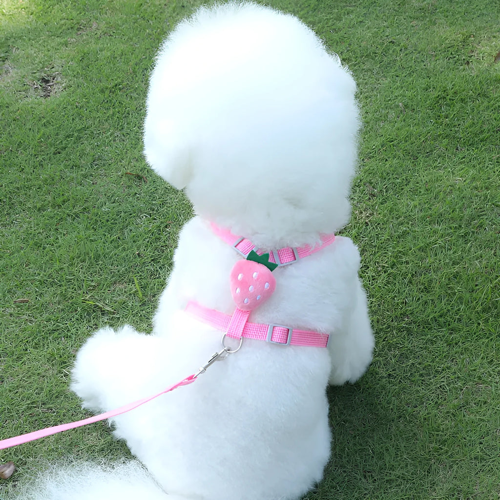 Reflective chest strap vest-style dog walking lead for small dogs in avocado colour.