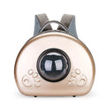 Transparent space capsule cat carrier in rose gold colour with hard-sided design