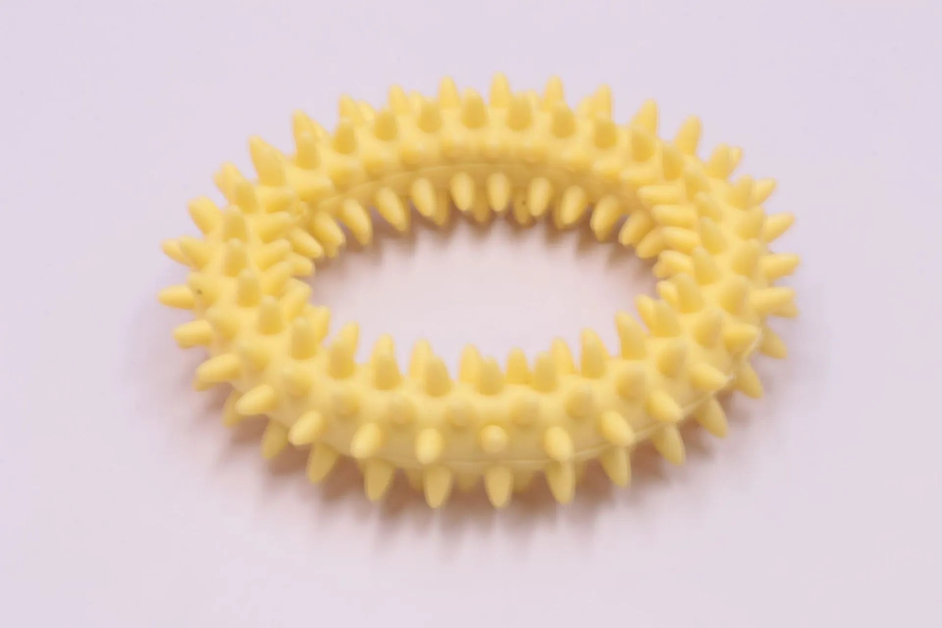 TPR spiky circle dog chew toy 9.5cm diameter in six colour options