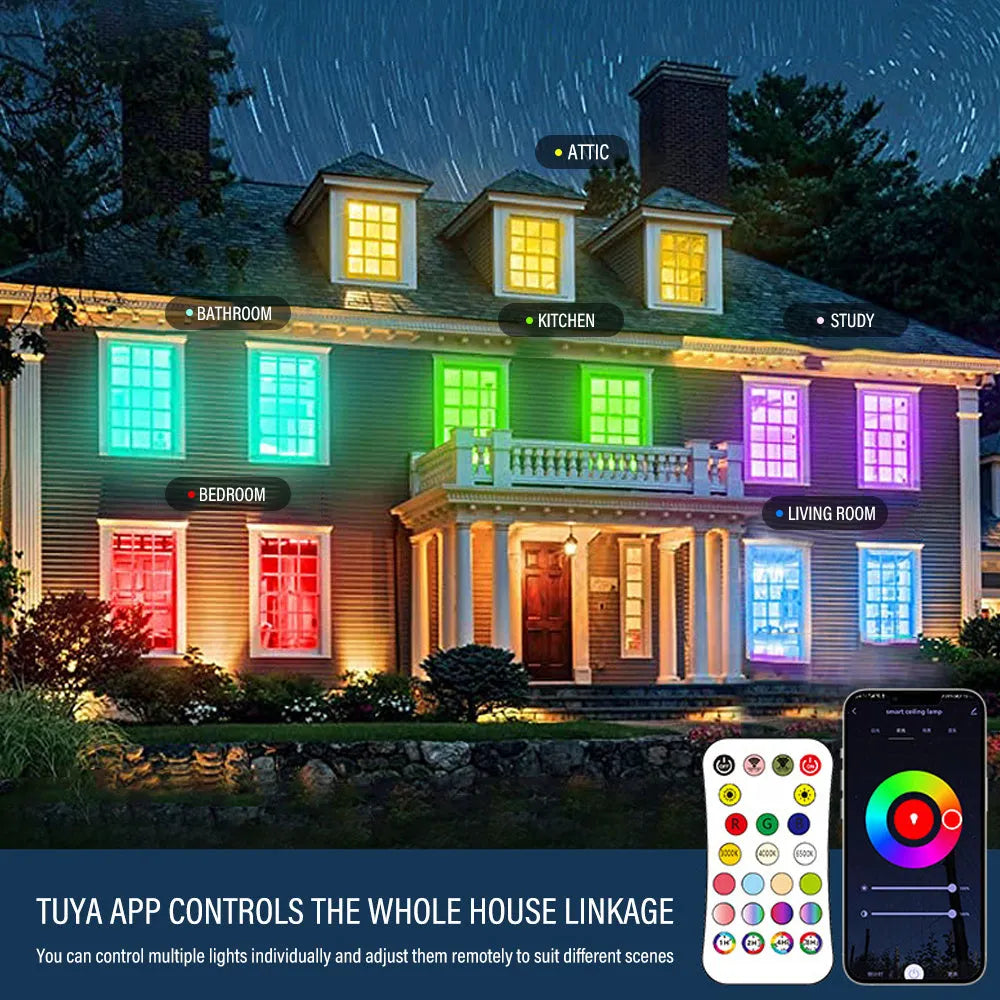 RGBCW intelligent Bluetooth ceiling lamp in black or white with app and remote control