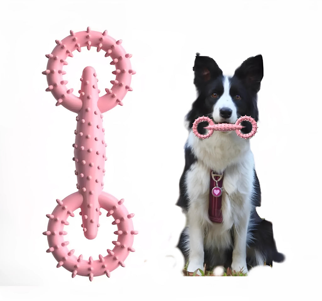 Blue TPR dog chew toy ring board for teething puppies measuring 16cm