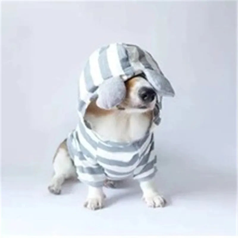 Grey cotton striped sweater on a small pet with ribbed trim