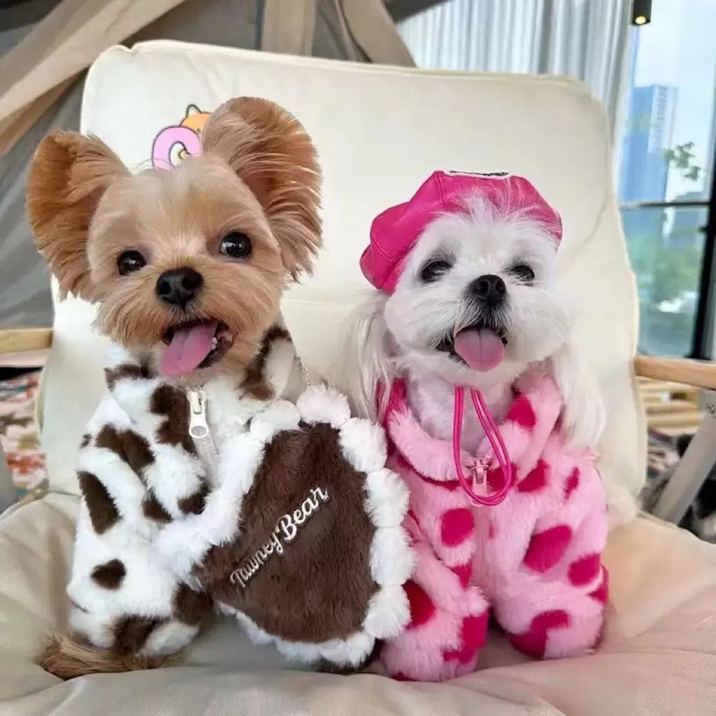 British-style pink warm coat on small Teddy Bichon dog showing plush polyester construction