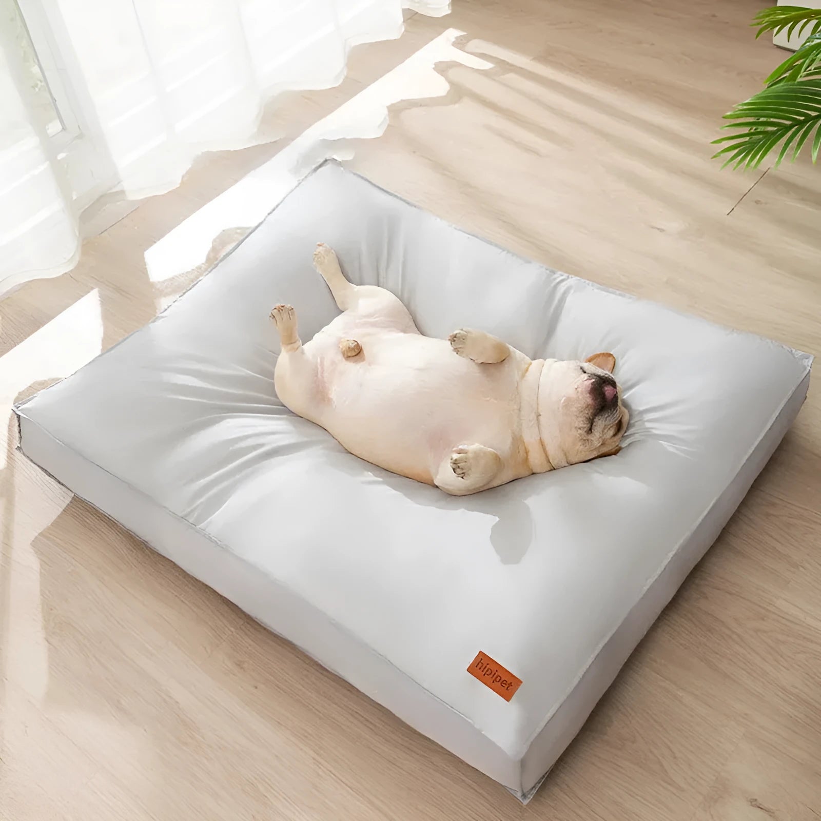 Waterproof dog bed in high-grade gray with non-slip bottom and detachable cover