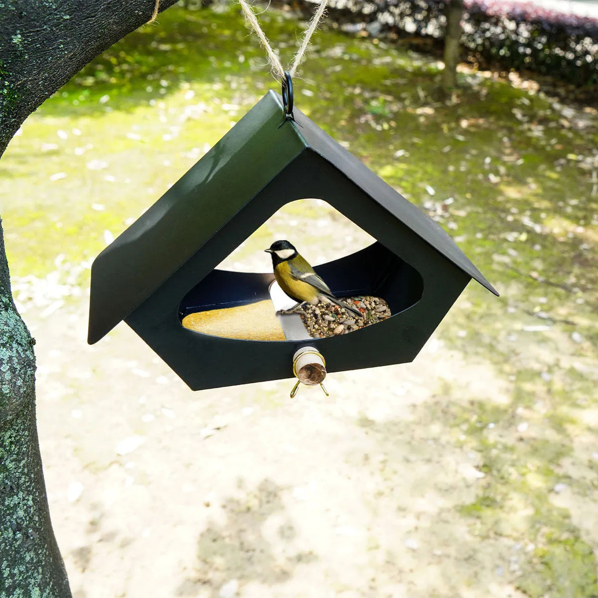 European-style modern iron bird nest decoration for outdoor garden bird shelter