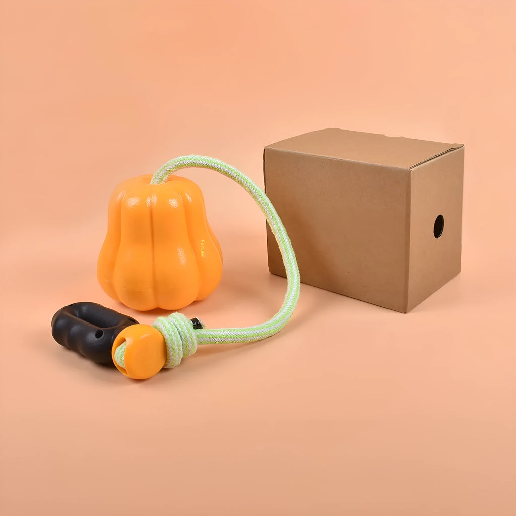 Bite Molar plastic dog fetch toy in single pumpkin colour with rope attachment