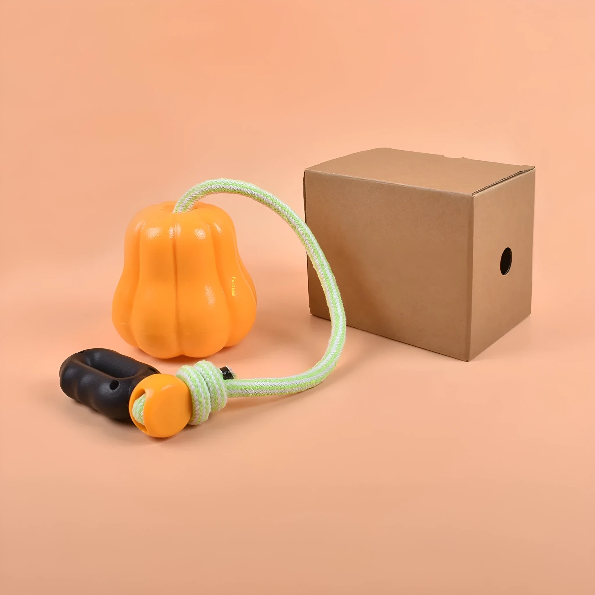 Bite Molar plastic dog fetch toy in single pumpkin colour with rope attachment