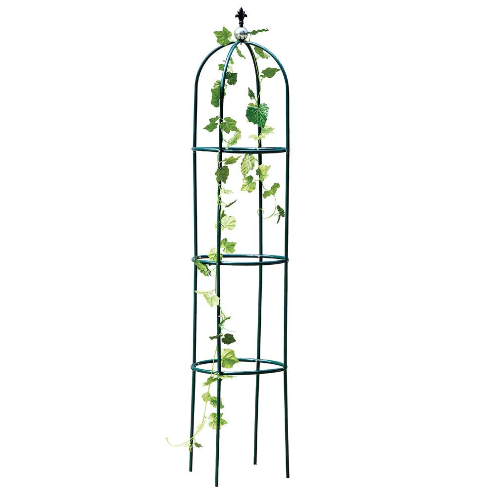 Dark green wrought iron plant climbing frame with lattice design for indoor climbing plants