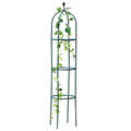 Dark green wrought iron plant climbing frame with lattice design for indoor climbing plants
