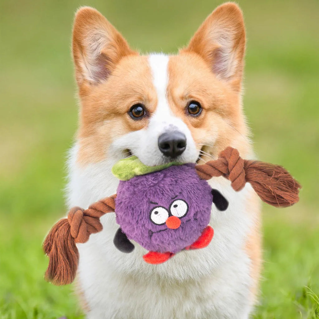 Interactive plush rope knot dog toy for tug of war games with bite-resistant design