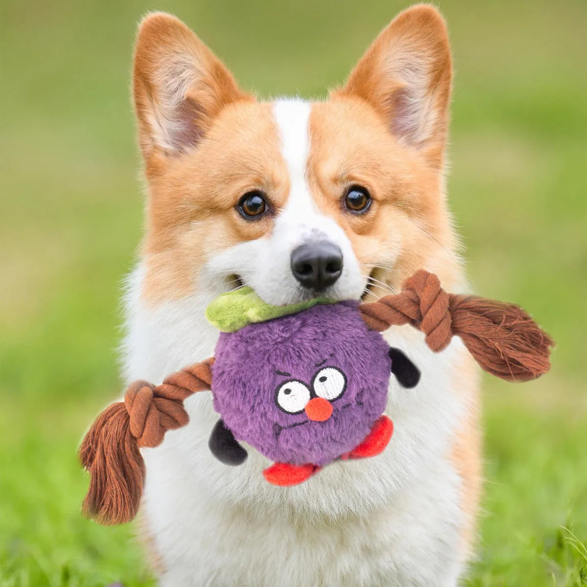 Interactive plush rope knot dog toy for tug of war games with bite-resistant design