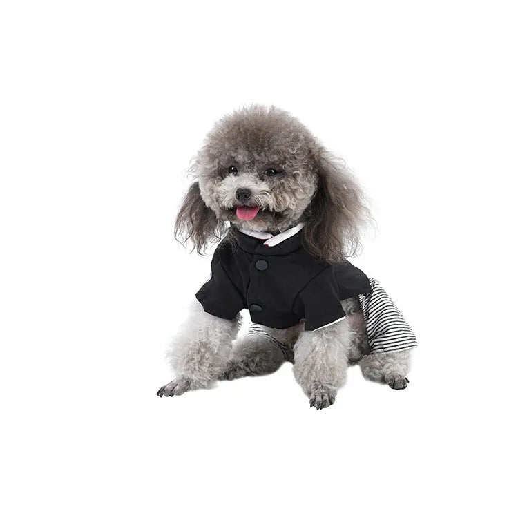 Cotton poodle dog clothes in skirt and four-legged trouser styles for spring, autumn, summer