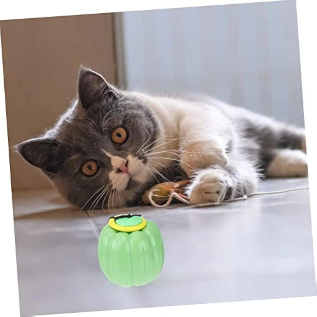 Green, orange, and yellow plastic pumpkin-shaped dog toy ball with squeaker for small dogs.